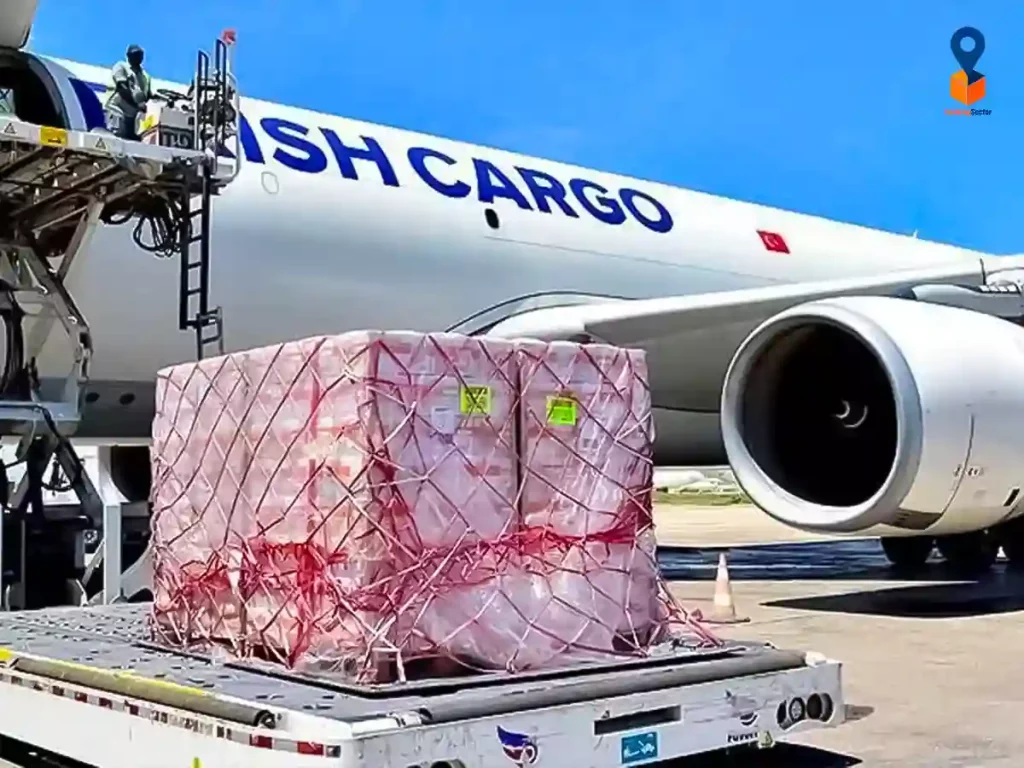 Turkish airline cargo