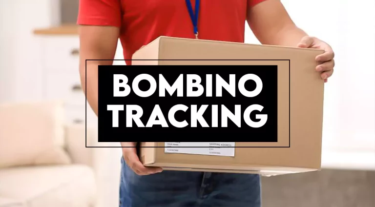 Bombino Courier Tracking